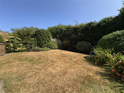 Picture 21